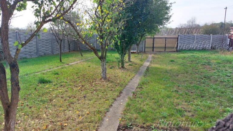 Casa Cristur Dobra 1M 1 768x433