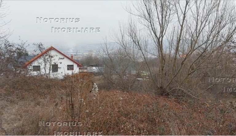 Trm 5 768x444
