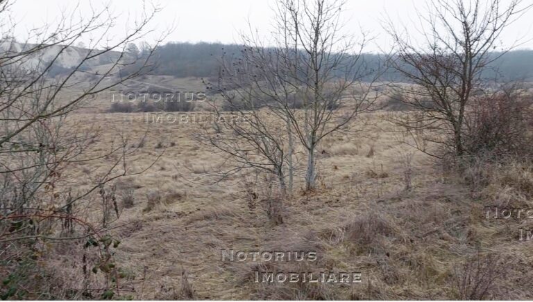 Trm 9 768x436