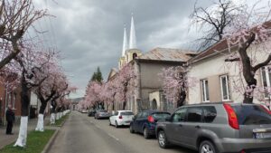 Centrul Vechi Hunedoara primavara 2025