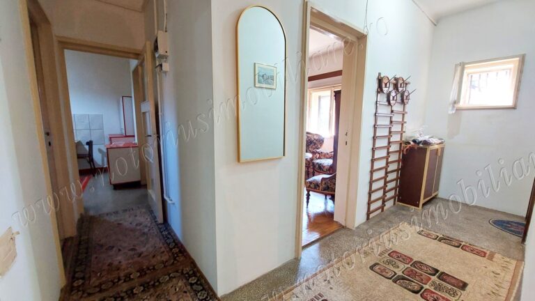 20260919 110405 768x432